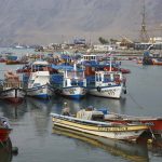 TDLC rechaza consulta sobre subasta pesquera