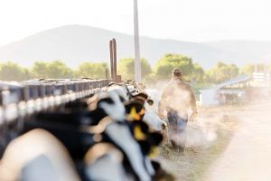 FNE contra Nestlé
