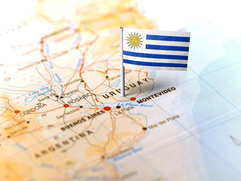Uruguay en el control previo de concentraciones ﻿