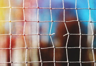 Análisis de la Sentencia N° 173/2020 - ANFP