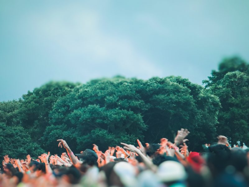 Lollapalooza contra la SCD ante TDLC