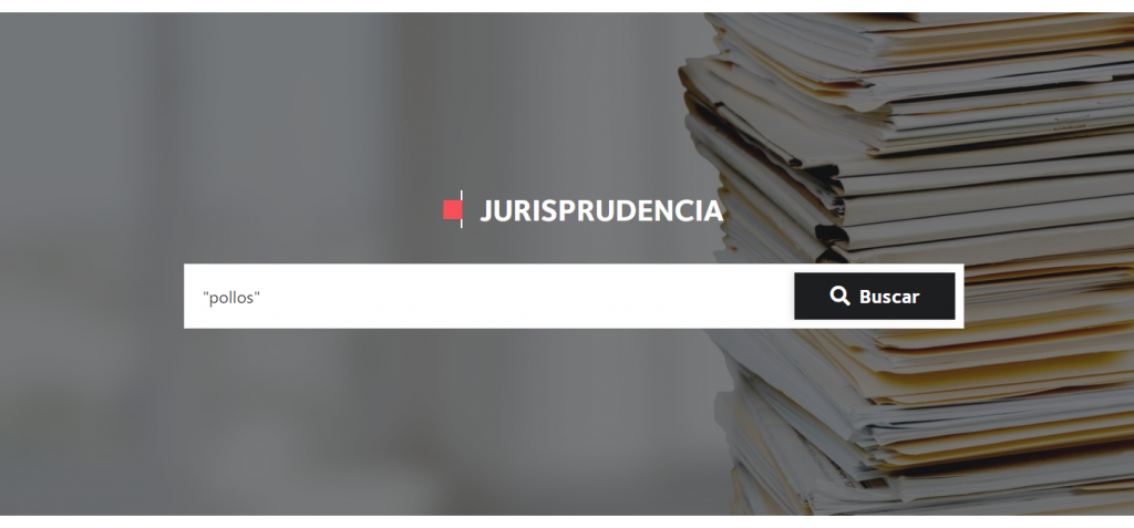 Nueva Base De Jurisprudencia CeCo: Qué Contiene Y Cómo Utilizarla | CeCo