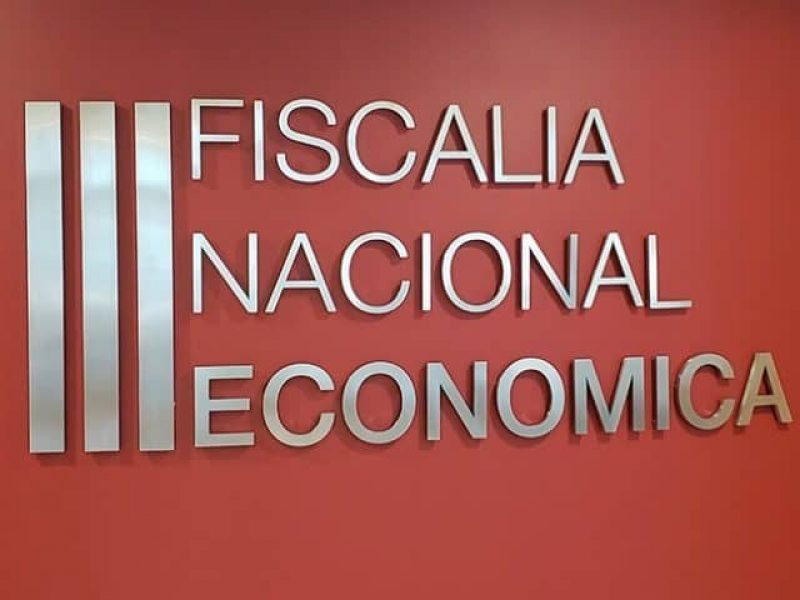 FNE, Fiscalía Nacional Económica, Cuenta Pública, 2022, Jorge Grunberg, aspectos institucionales.