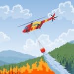 Incendios, colusión, licitaciones, acuerdo único, mercado sensible, FNE