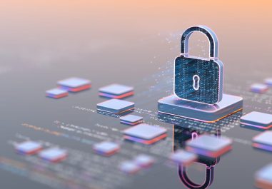 recurso de protección, datos, fne, información, universidades, uch, puc, usach