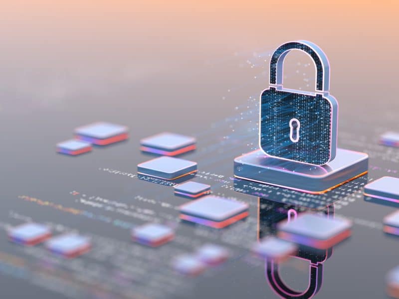 recurso de protección, datos, fne, información, universidades, uch, puc, usach
