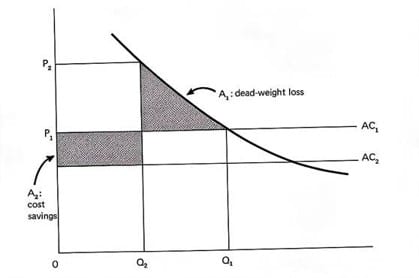 bork grafico